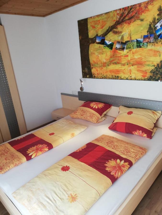 Aignerbauer Mittersill Apartment Ngoại thất bức ảnh